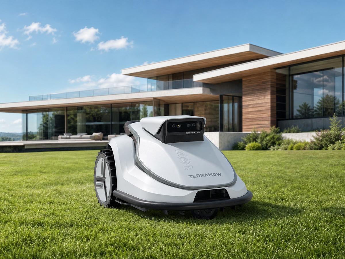 A Must-Read for Pet-Owning Families in Australia: Safe and Pet-Friendly Lawnmowers