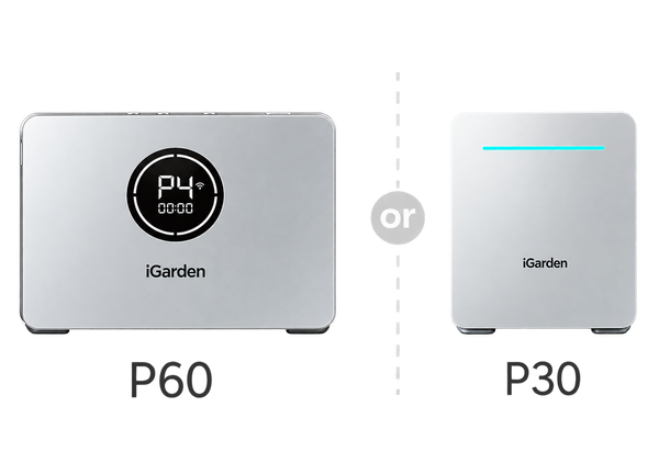 Power Box